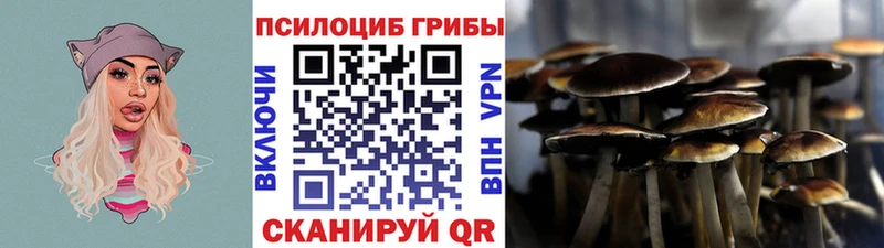 купить наркоту  KRAKEN как войти  Псилоцибиновые грибы ЛСД  Качканар 